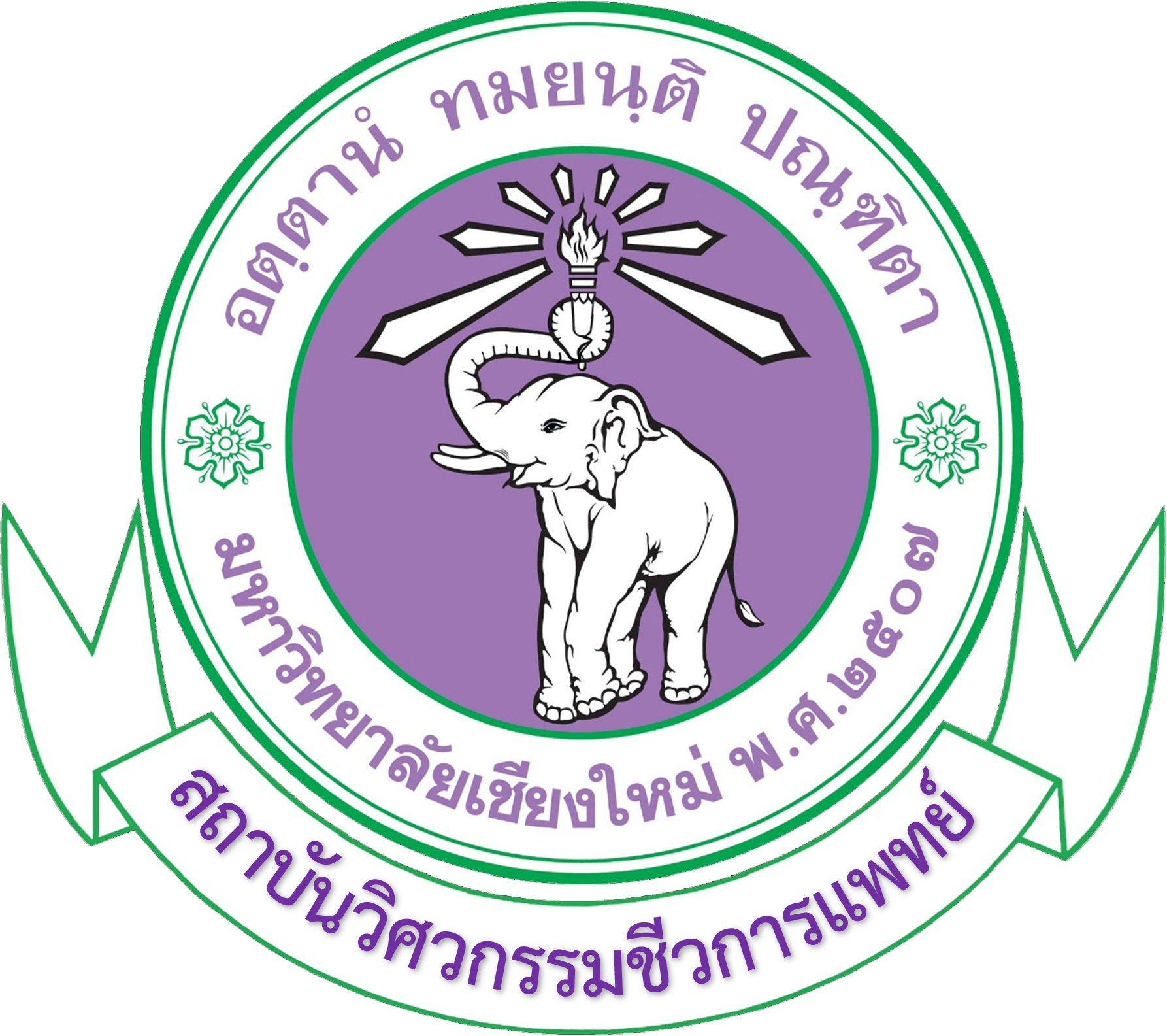 Chiang Mai University 校徽